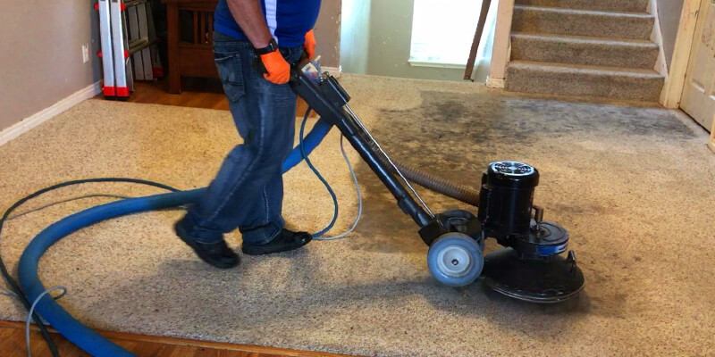 best carpet cleaning - Top Cleaning Services